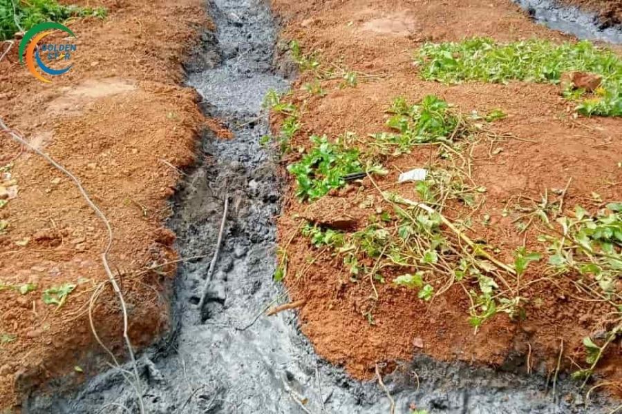 Hóa Chất Tiếp địa