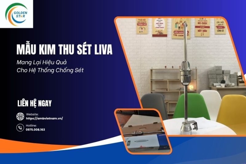 Mẫu Kim Thu Sét Liva